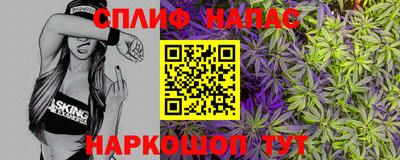 гашик Славгород