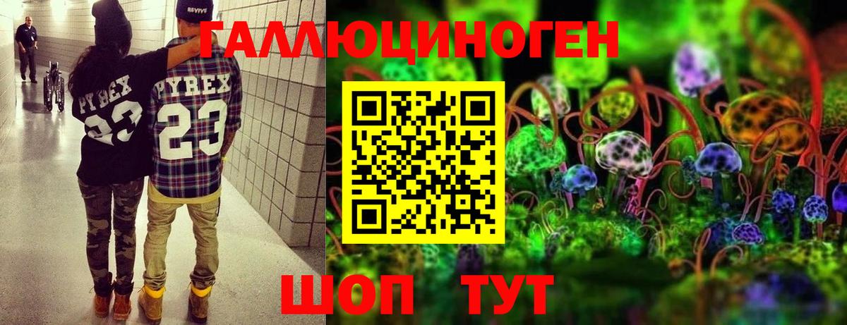 Галлюциногенные грибы прущие грибы Обнинск